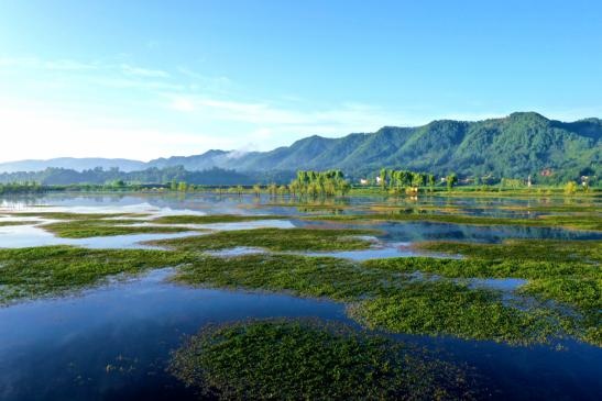 6t体育西双版纳这些地方入选绿美河湖标杆典型对象(图32)