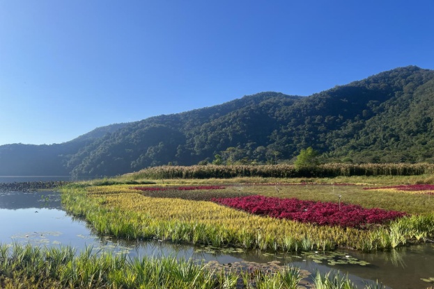 6t体育西双版纳这些地方入选绿美河湖标杆典型对象(图44)