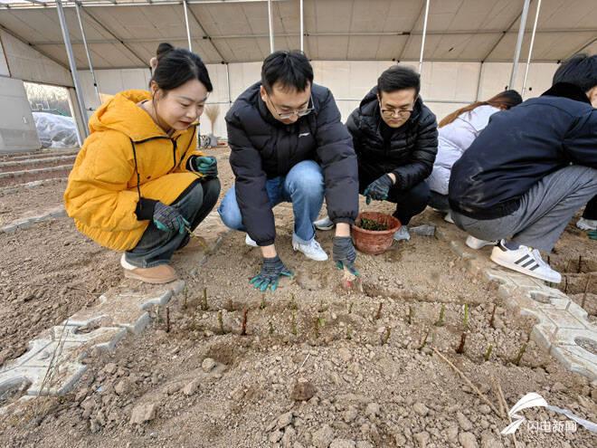 6t体育大棚、田地、生产一线 滨州城管局主题党日活动走进园林绿化(图5)