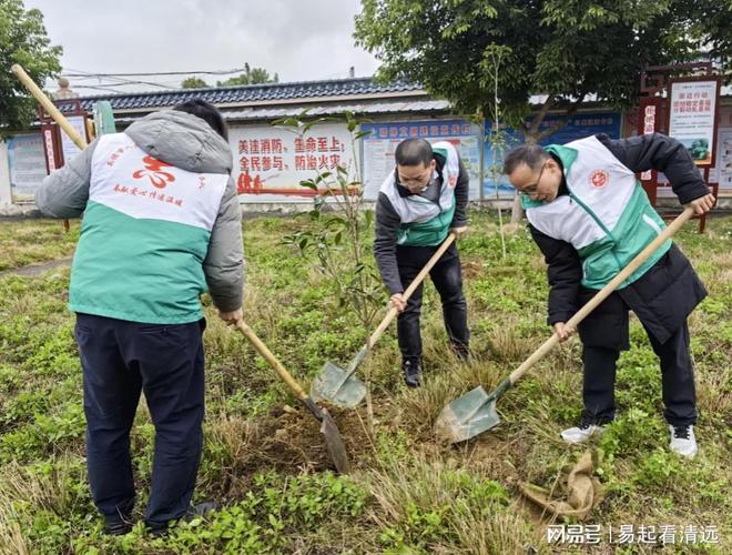 6t体育英德：开年乡村绿化植树22万株(图1)