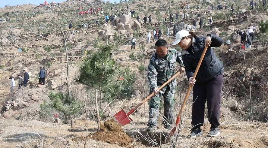 6t体育济宁：实施荒山绿化三年行动 62万亩荒山披绿装(图1)